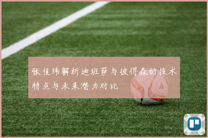 张佳玮解析迪班萨与彼得森的技术特点与未来潜力对比
