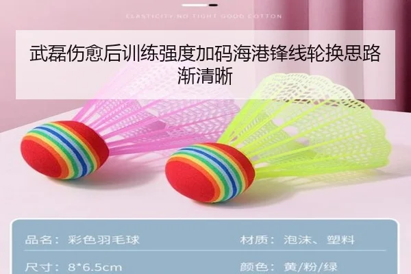 武磊伤愈后训练强度加码海港锋线轮换思路渐清晰